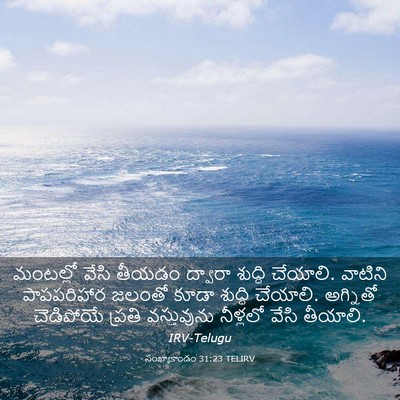 Picture 03 - సంఖ్యాకాండం 31:23 TELIRV - మంటల్లో వేసి - Bible Verse Picture