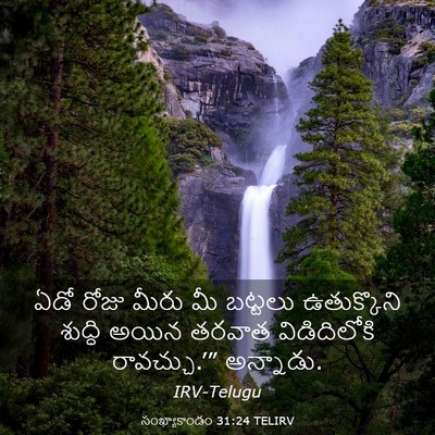 Picture 03 - సంఖ్యాకాండం 31:24 TELIRV - ఏడో రోజు మీరు మీ - Bible Verse Picture
