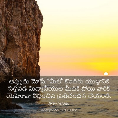 Picture 03 - సంఖ్యాకాండం 31:3 TELIRV - అప్పుడు మోషే - Bible Verse Picture