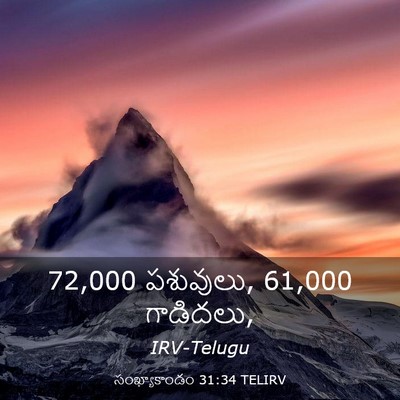 Picture 03 - సంఖ్యాకాండం 31:34 TELIRV - 72,000 పశువులు, 61,000 - Bible Verse Picture