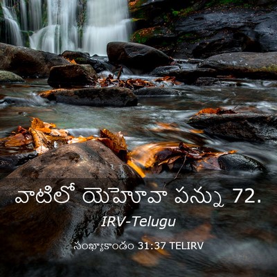 Picture 03 - సంఖ్యాకాండం 31:37 TELIRV - వాటిలో యెహోవా - Bible Verse Picture