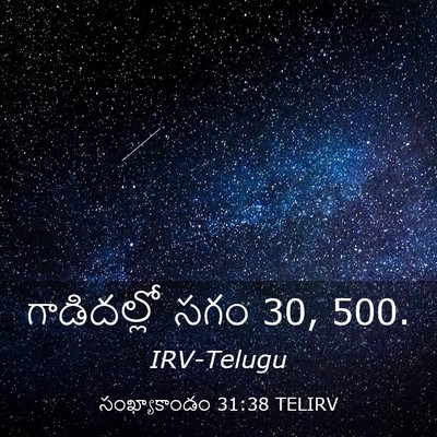 Picture 03 - సంఖ్యాకాండం 31:38 TELIRV - గాడిదల్లో సగం 30, - Bible Verse Picture