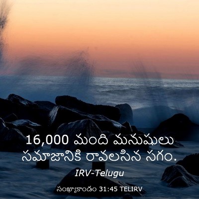 Picture 03 - సంఖ్యాకాండం 31:45 TELIRV - 16,000 మంది మనుషులు - Bible Verse Picture