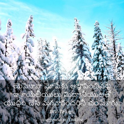 Picture 03 - సంఖ్యాకాండం 31:7 TELIRV - యెహోవా మోషేకు - Bible Verse Picture