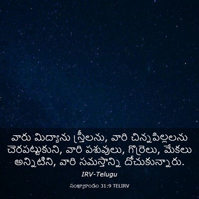 Picture 03 - సంఖ్యాకాండం 31:9 TELIRV - వారు మిద్యాను - Bible Verse Picture