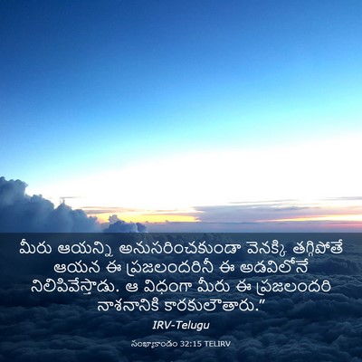 Picture 03 - సంఖ్యాకాండం 32:15 TELIRV - మీరు ఆయన్ని - Bible Verse Picture