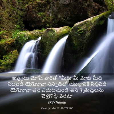 Picture 03 - సంఖ్యాకాండం 32:20 TELIRV - అప్పుడు మోషే - Bible Verse Picture