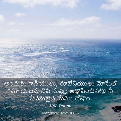 Picture 03 - సంఖ్యాకాండం 32:25 TELIRV - అందుకు గాదీయులు, - Bible Verse Picture