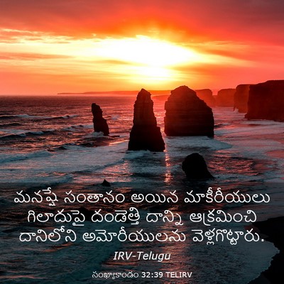 Picture 03 - సంఖ్యాకాండం 32:39 TELIRV - మనష్షే సంతానం - Bible Verse Picture