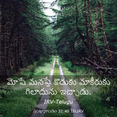 Picture 03 - సంఖ్యాకాండం 32:40 TELIRV - మోషే మనష్షే - Bible Verse Picture
