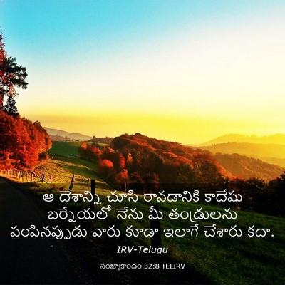 Picture 03 - సంఖ్యాకాండం 32:8 TELIRV - ఆ దేశాన్ని చూసి - Bible Verse Picture