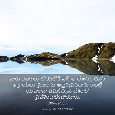 Picture 03 - సంఖ్యాకాండం 32:9 TELIRV - వారు ఎష్కోలు - Bible Verse Picture