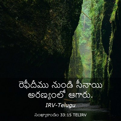 Picture 03 - సంఖ్యాకాండం 33:15 TELIRV - రెఫీదీము నుండి - Bible Verse Picture