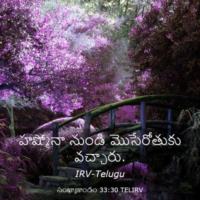 Picture 03 - సంఖ్యాకాండం 33:30 TELIRV - హష్మోనా నుండి - Bible Verse Picture