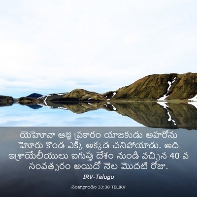 Picture 03 - సంఖ్యాకాండం 33:38 TELIRV - యెహోవా ఆజ్ఞ - Bible Verse Picture