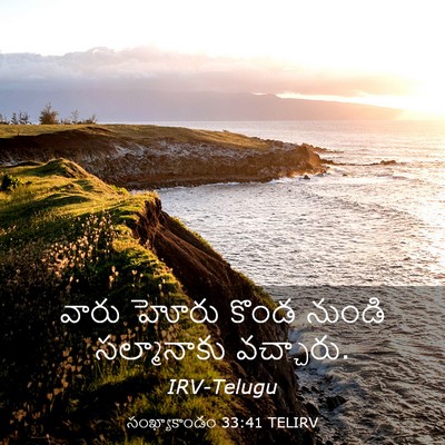 Picture 03 - సంఖ్యాకాండం 33:41 TELIRV - వారు హోరు కొండ - Bible Verse Picture