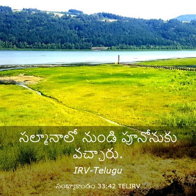 Picture 03 - సంఖ్యాకాండం 33:42 TELIRV - సల్మానాలో నుండి - Bible Verse Picture