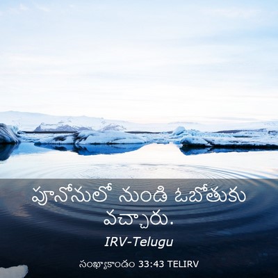 Picture 03 - సంఖ్యాకాండం 33:43 TELIRV - పూనోనులో నుండి - Bible Verse Picture