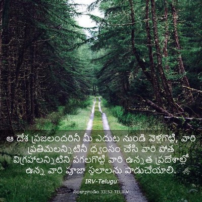 Picture 03 - సంఖ్యాకాండం 33:52 TELIRV - ఆ దేశ ప్రజలందరినీ - Bible Verse Picture