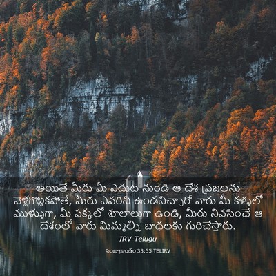 Picture 03 - సంఖ్యాకాండం 33:55 TELIRV - అయితే మీరు మీ ఎదుట - Bible Verse Picture