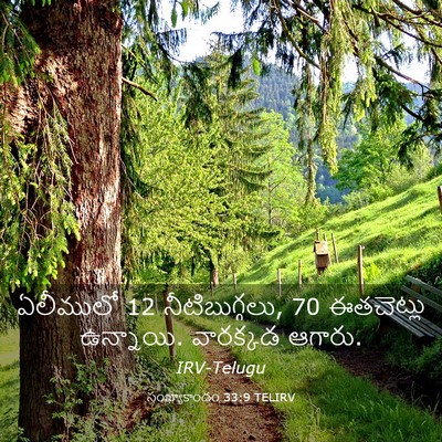 Picture 03 - సంఖ్యాకాండం 33:9 TELIRV - ఏలీములో 12 - Bible Verse Picture