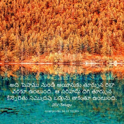 Picture 03 - సంఖ్యాకాండం 34:11 TELIRV - అది షెపాము నుండి - Bible Verse Picture