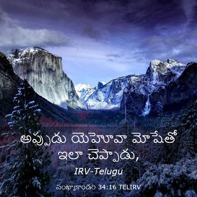 Picture 03 - సంఖ్యాకాండం 34:16 TELIRV - అప్పుడు యెహోవా - Bible Verse Picture