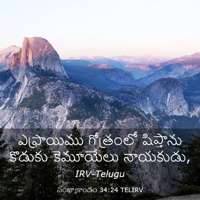 Picture 03 - సంఖ్యాకాండం 34:24 TELIRV - ఎఫ్రాయిము - Bible Verse Picture