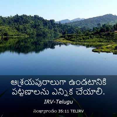 Picture 03 - సంఖ్యాకాండం 35:11 TELIRV - ఆశ్రయపురాలుగా - Bible Verse Picture
