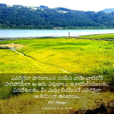 Picture 03 - సంఖ్యాకాండం 35:15 TELIRV - ఎవరినైనా పొరబాటున - Bible Verse Picture