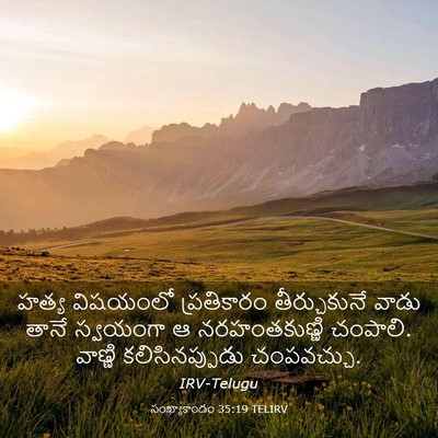Picture 03 - సంఖ్యాకాండం 35:19 TELIRV - హత్య విషయంలో - Bible Verse Picture