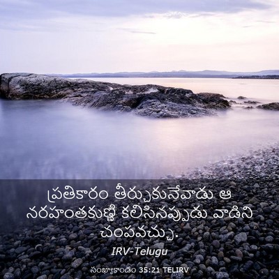 Picture 03 - సంఖ్యాకాండం 35:21 TELIRV - ప్రతికారం - Bible Verse Picture
