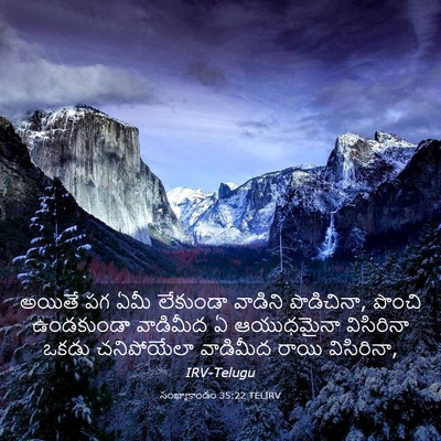 Picture 03 - సంఖ్యాకాండం 35:22 TELIRV - అయితే పగ ఏమీ - Bible Verse Picture