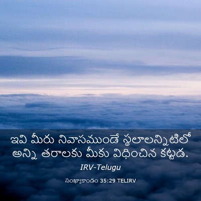 Picture 03 - సంఖ్యాకాండం 35:29 TELIRV - ఇవి మీరు - Bible Verse Picture