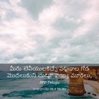 Picture 03 - సంఖ్యాకాండం 35:4 TELIRV - మీరు - Bible Verse Picture
