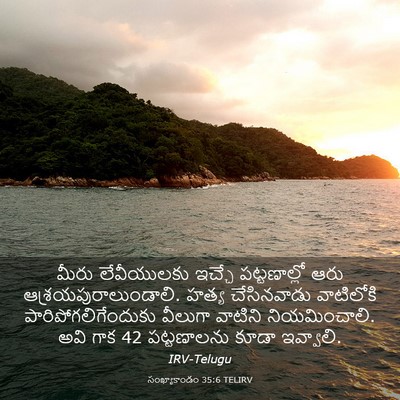 Picture 03 - సంఖ్యాకాండం 35:6 TELIRV - మీరు లేవీయులకు - Bible Verse Picture