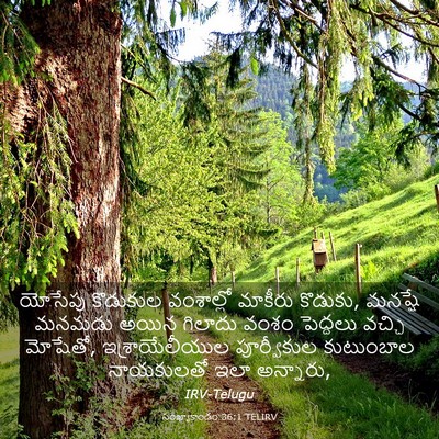 Picture 03 - సంఖ్యాకాండం 36:1 TELIRV - యోసేపు కొడుకుల - Bible Verse Picture