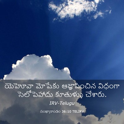 Picture 03 - సంఖ్యాకాండం 36:10 TELIRV - యెహోవా మోషేకు - Bible Verse Picture