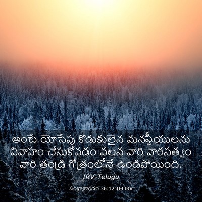Picture 03 - సంఖ్యాకాండం 36:12 TELIRV - అంటే యోసేపు - Bible Verse Picture