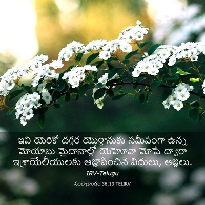 Picture 03 - సంఖ్యాకాండం 36:13 TELIRV - ఇవి యెరికో దగ్గర - Bible Verse Picture
