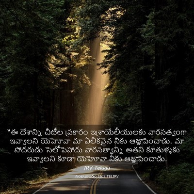 Picture 03 - సంఖ్యాకాండం 36:2 TELIRV - “ఈ దేశాన్ని చీటీల - Bible Verse Picture