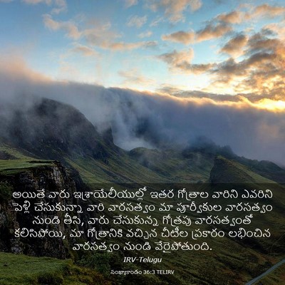 Picture 03 - సంఖ్యాకాండం 36:3 TELIRV - అయితే వారు - Bible Verse Picture