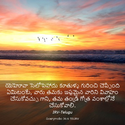 Picture 03 - సంఖ్యాకాండం 36:6 TELIRV - యెహోవా సెలోపెహాదు - Bible Verse Picture