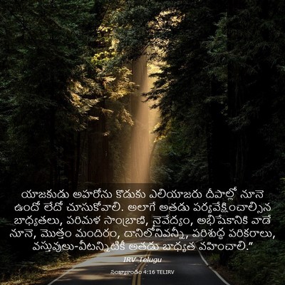 Picture 03 - సంఖ్యాకాండం 4:16 TELIRV - యాజకుడు అహరోను - Bible Verse Picture
