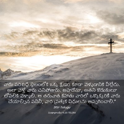 Picture 03 - సంఖ్యాకాండం 4:20 TELIRV - వారు పరిశుద్ధ - Bible Verse Picture