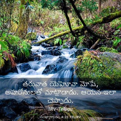 Picture 03 - సంఖ్యాకాండం 4:21 TELIRV - తరువాత యెహోవా - Bible Verse Picture