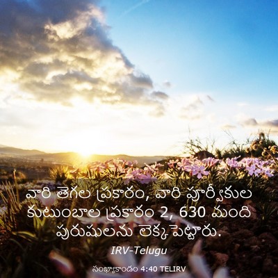 Picture 03 - సంఖ్యాకాండం 4:40 TELIRV - వారి తెగల ప్రకారం, - Bible Verse Picture