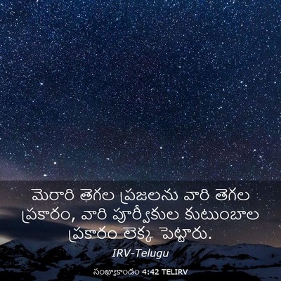 Picture 03 - సంఖ్యాకాండం 4:42 TELIRV - మెరారి తెగల - Bible Verse Picture