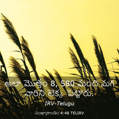 Picture 03 - సంఖ్యాకాండం 4:48 TELIRV - అలా మొత్తం 8, 580 మంది - Bible Verse Picture