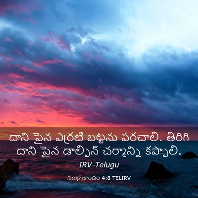 Picture 03 - సంఖ్యాకాండం 4:8 TELIRV - దాని పైన ఎర్రటి - Bible Verse Picture